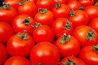 Tomaten