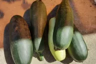 Courgettes