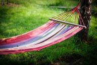 Hammock