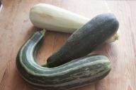 Zucchini