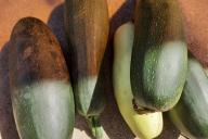 courgettes