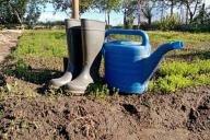 watering can