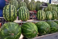 Wassermelonen 