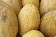 Melón