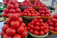 Tomaten