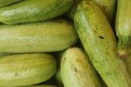 courgettes