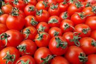 Tomaten