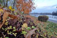 Herbst