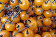 Tomaten