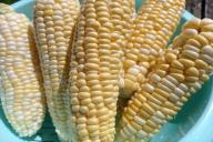 corn