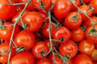 Tomaten