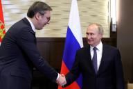 Vucic y Putin