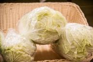 Cabbage