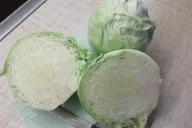 Cabbage