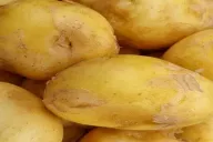 Potatoes