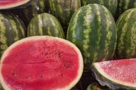 watermelons